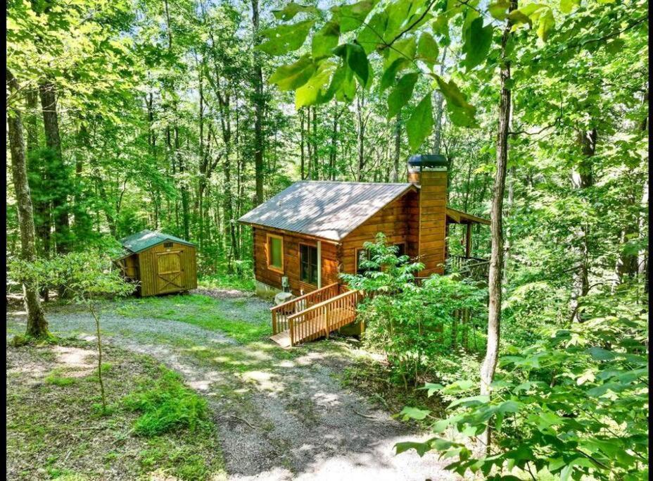 Open Studio Lodge At Little Rock Creek Cherry Log Bagian luar foto